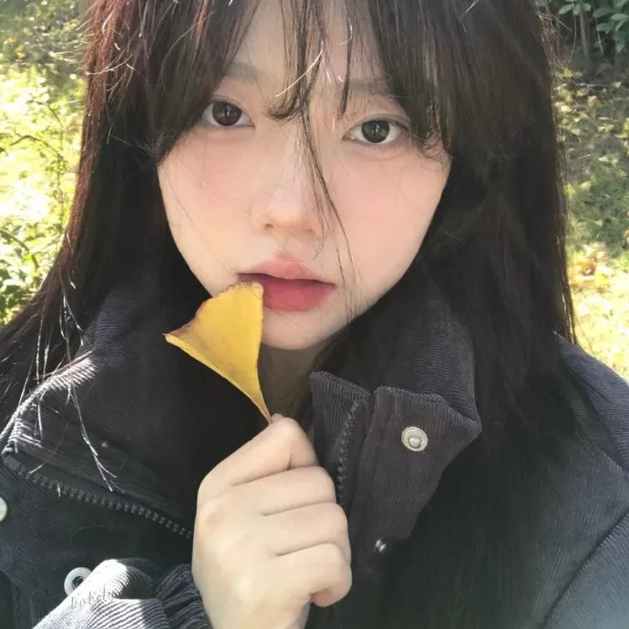 我的女友们