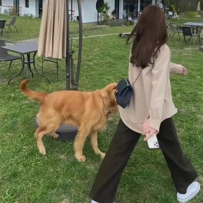 莱姆豪斯的杀人魔